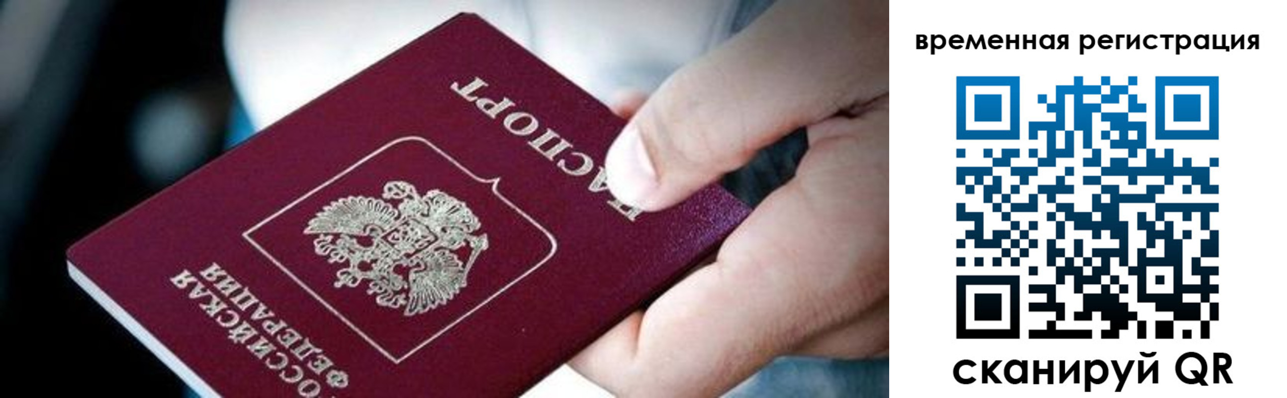 прописка гарантия в Бердске