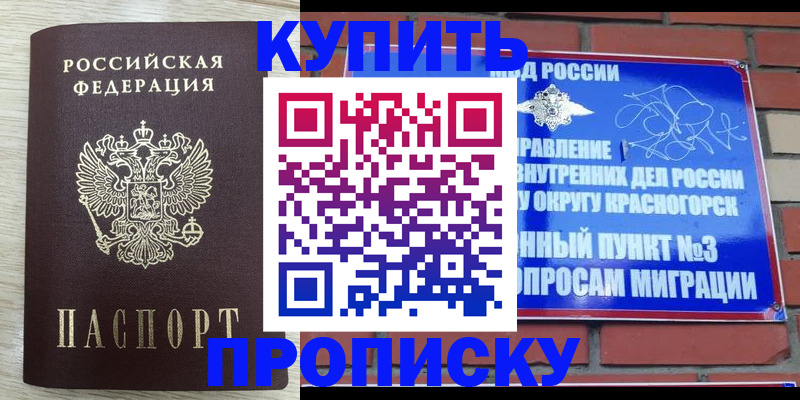 прописка гарантия в Бердске